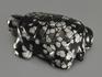 Черепаха из снежного обсидиана, 4х2,8х1,6 см, 10937, фото 2
