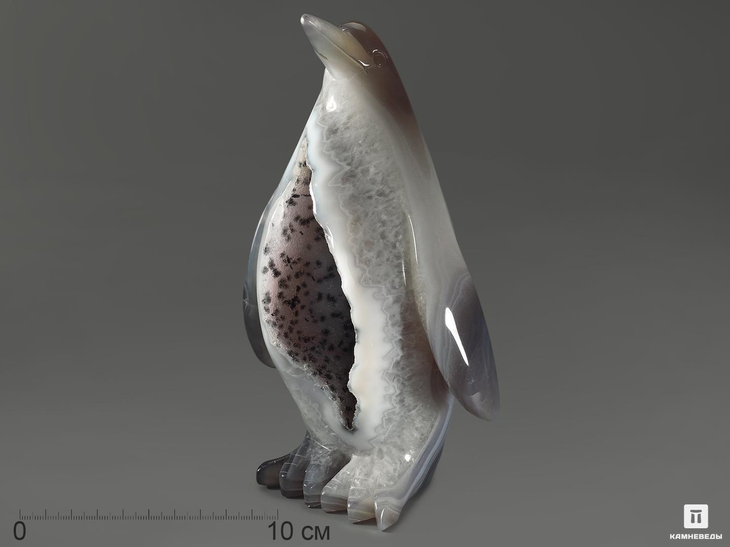 Пингвин из агата с жеодой кварца, 19,2х12,1х7,2 см, 10997, фото 1
