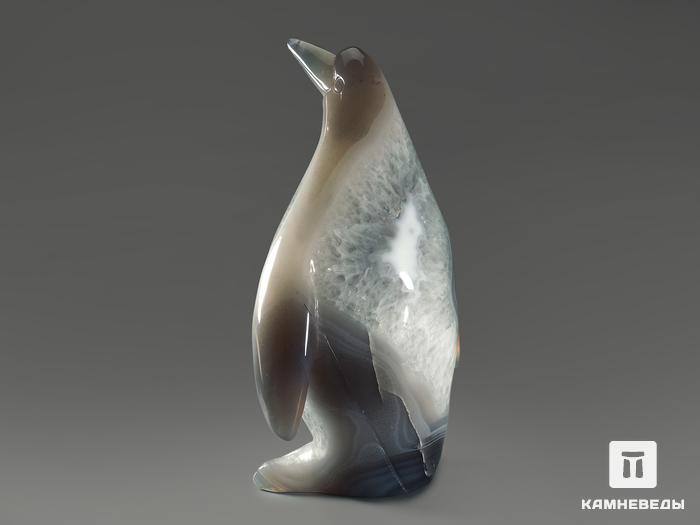 Пингвин из агата с жеодой кварца, 19,2х12,1х7,2 см, 10997, фото 3