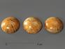 Морской ёж Pygurus sp., 2,5х2,4х1,2 см, 8-23/3, фото 2