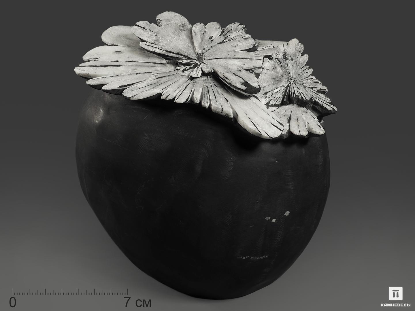 Целестин на аргиллите «хризантемовый камень», 18,2х16,5х12,3 см шкатулка дерево под роспись 7 5х7 5х12 см