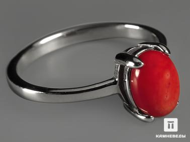 Кораллы. Кольцо с красным кораллом