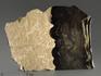 Строматолиты Collumnacollenia sp. из Серпухова, полированный срез 17,5х13х3,8 см, 11119, фото 1