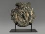 Аммонит пиритизированный на подставке, 31х30х7 см, 11356, фото 1