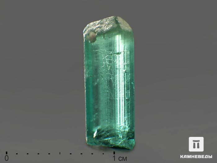 Турмалин (индиголит), кристалл 1,3х0,5х0,4 см, 2586, фото 1