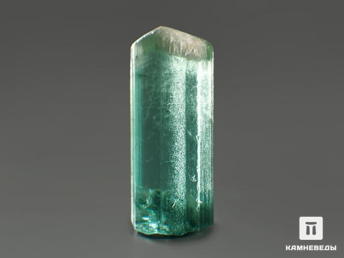 Турмалин (индиголит), кристалл 1,3х0,5х0,4 см, 2586, фото 2