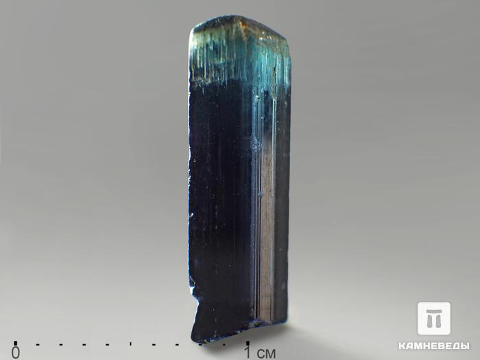 Турмалин (индиголит), кристалл 1,6х0,4х0,3  см, 10-24/26, фото 2