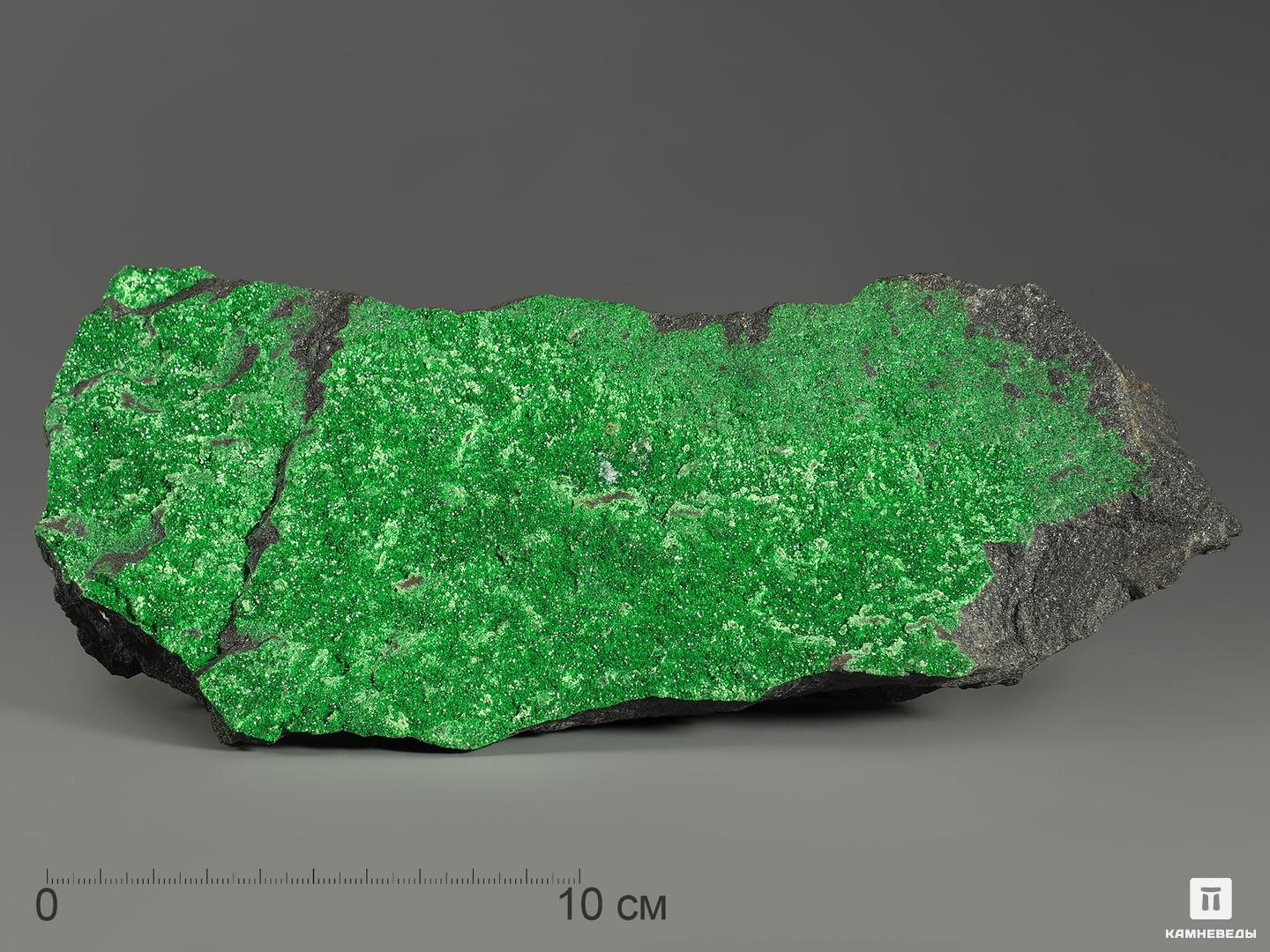 Уваровит (зелёный гранат), 24х9,5х6,5 см бусина драже d 8мм светло зелёный