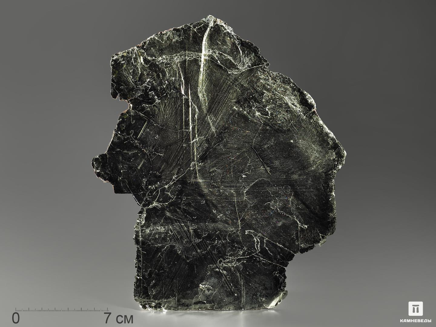 

Флогопит, пластина 22