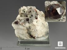 Спессартин (гранат), кристалл на кварце, 6,1х6х3,3 см