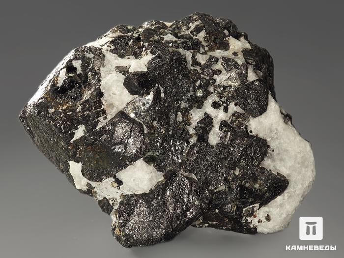 Магнетит, сросток кристаллов 7,3х5,9х3,7 см, 11409, фото 4