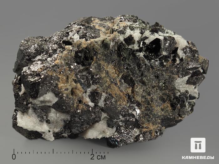Магнетит, сросток кристаллов 5,9х3,7х3,6 см, 11449, фото 2