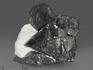 Магнетит, сросток кристаллов 8,7х7,7х4,1 см, 11400, фото 1