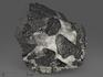 Магнетит, сросток кристаллов 7х6,3х5,6 см, 10-189/12, фото 1