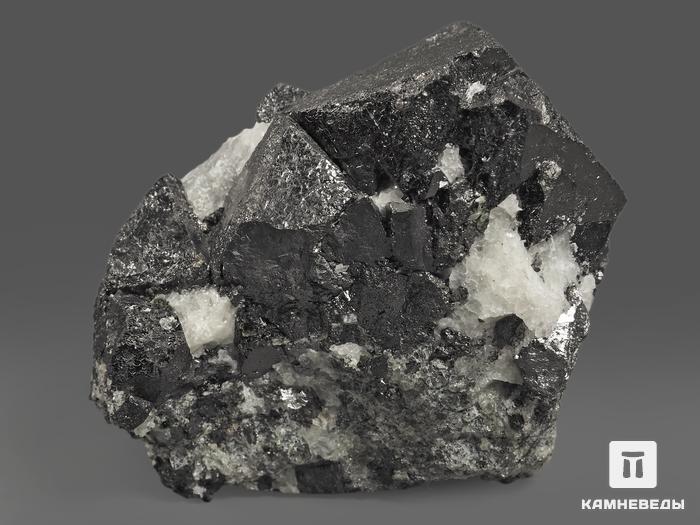 Магнетит, сросток кристаллов 7х6,3х5,6 см, 10-189/12, фото 2
