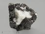 Магнетит, сросток кристаллов 4,7х4,4х4,2 см, 11446, фото 1