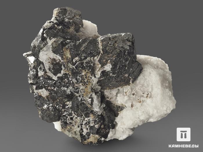 Магнетит, сросток кристаллов 4,5х3,3х2,5 см, 11424, фото 5