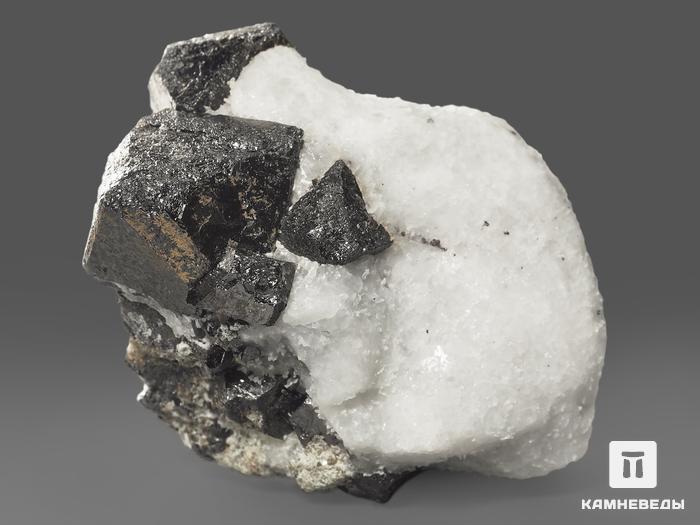 Магнетит, сросток кристаллов 4,5х3,3х2,5 см, 11424, фото 8