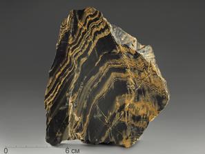 Строматолит. Строматолиты Gaia irkuskanica из Бакала, 13,6х12,2х2,6 см