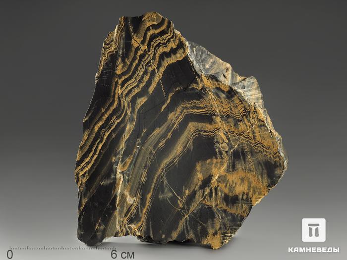 Строматолиты Gaia irkuskanica из Бакала, 13,6х12,2х2,6 см, 11620, фото 1