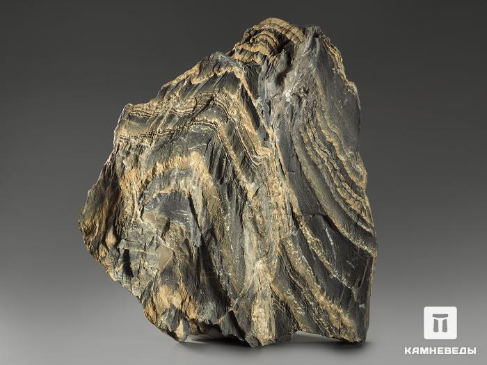 Строматолиты Gaia irkuskanica из Бакала, 13,6х12,2х2,6 см, 11620, фото 3
