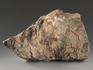 Строматолиты Inzeria tjomusi из Катав-Ивановска, полированный срез 17,1х10,1х3,2 см, 11616, фото 3