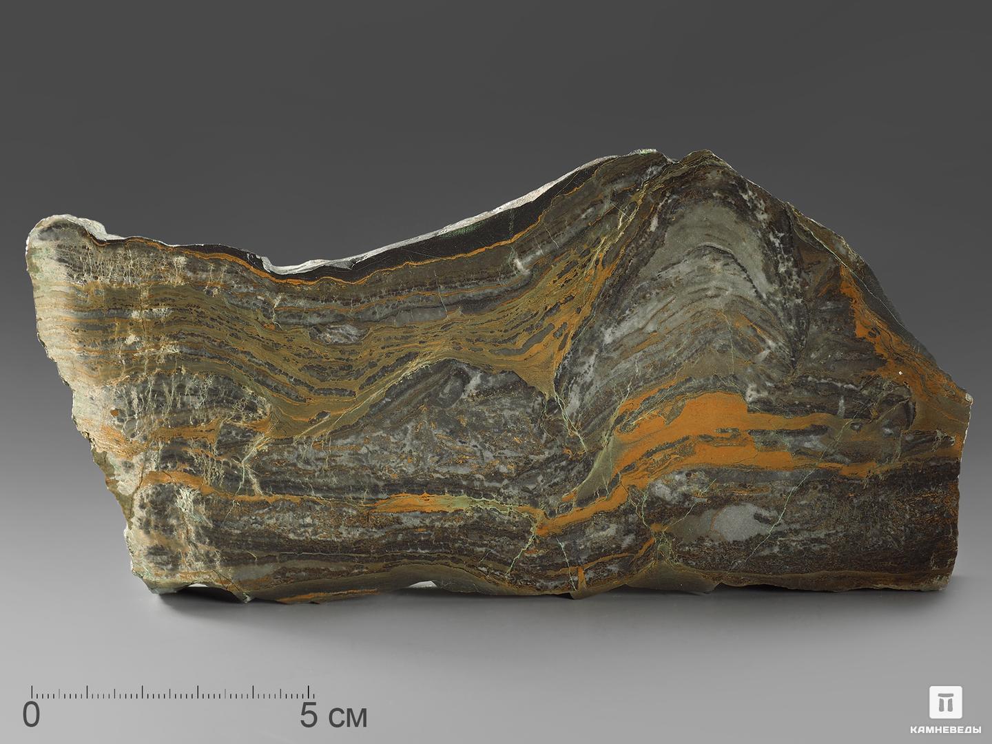 Строматолиты Gaia irkuskanica из Бакала, 17,7х8,9х2,3 см