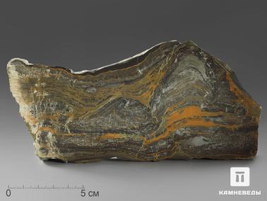 Строматолит. Строматолиты Gaia irkuskanica из Бакала, 17,7х8,9х2,3 см
