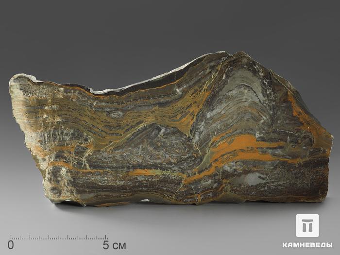 Строматолиты Gaia irkuskanica из Бакала, 17,7х8,9х2,3 см, 11621, фото 1