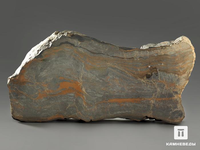 Строматолиты Gaia irkuskanica из Бакала, 17,7х8,9х2,3 см, 11621, фото 3
