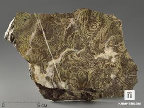 Строматолиты Inzeria tjomusi из Катав-Ивановска, полированный срез 19,9х14,2х4,1 см