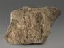 Строматолиты Inzeria tjomusi из Катав-Ивановска, полированный срез 19,9х14,2х4,1 см, 11614, фото 3
