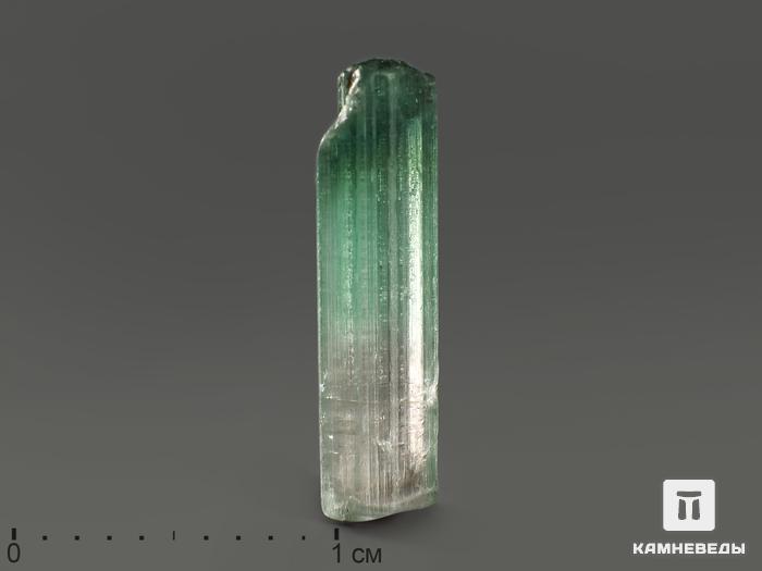 Турмалин полихромный, кристалл 1,4х0,3х0,2 см, 11780, фото 1