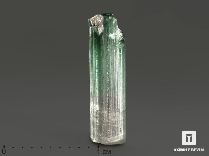 Турмалин полихромный, кристалл 1,4х0,3х0,2 см, 11780, фото 2