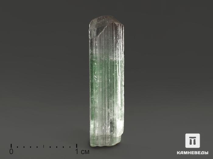 Турмалин полихромный, кристалл 1,6х0,4х0,4 см, 9858, фото 1