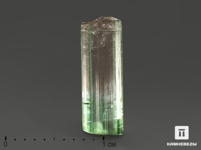 Турмалин полихромный, кристалл 1,2х0,4х0,3 см, 11782, фото 1