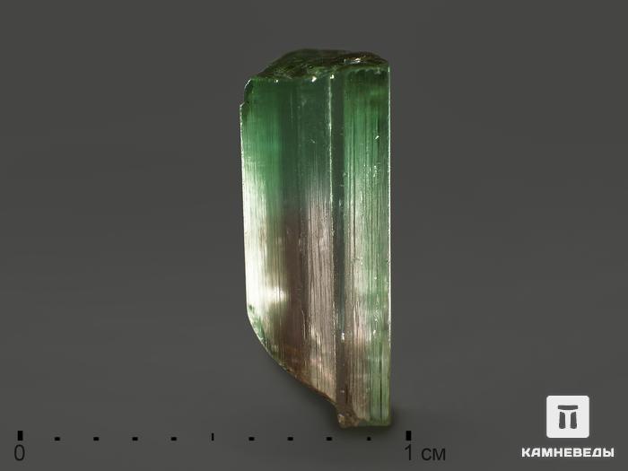Турмалин полихромный, кристалл 1х0,4х0,4 см, 11781, фото 1