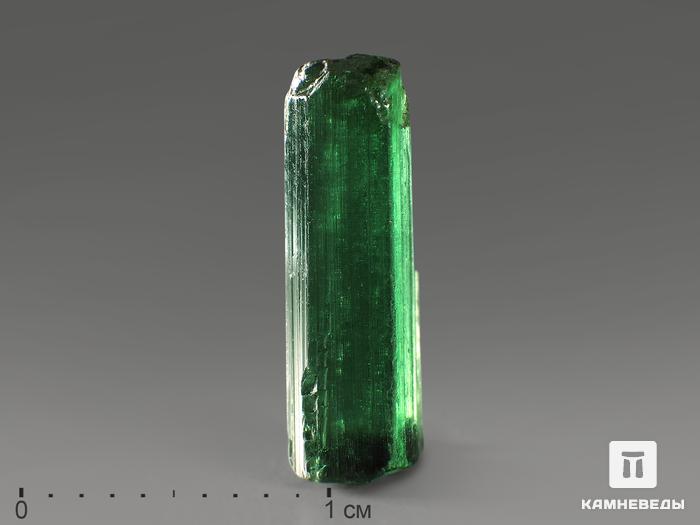 Турмалин (верделит), кристалл 1,5х0,5х0,4 см, 11787, фото 1