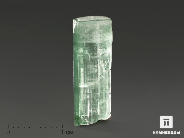 Турмалин (верделит), кристалл 1,7х0,7х0,6 см, 11789, фото 1