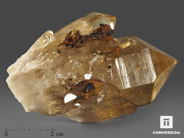 Цитрин, кристалл «Кундалини» 8,1х5х4,1 см, 11593, фото 1