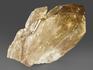 Цитрин, кристалл «Кундалини» 7,4х4,5х3,8 см, 11588, фото 3