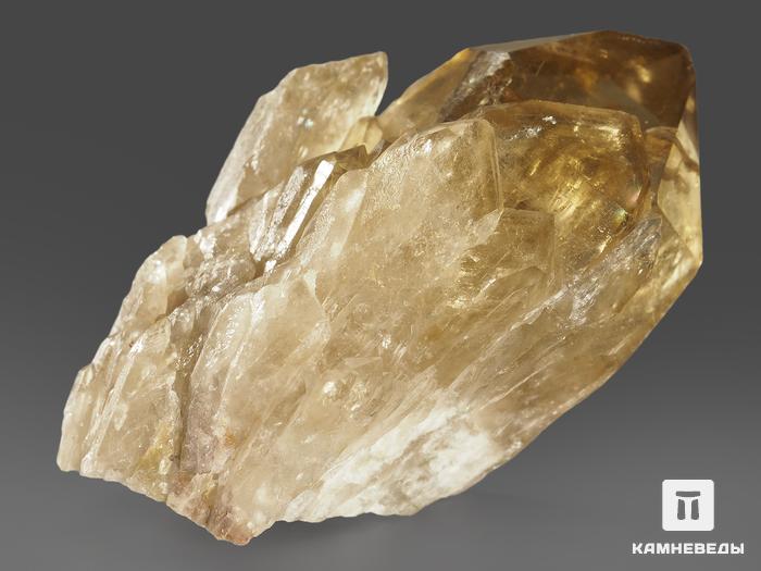 Цитрин, кристалл «Кундалини» 7,4х4,5х3,8 см, 11588, фото 3