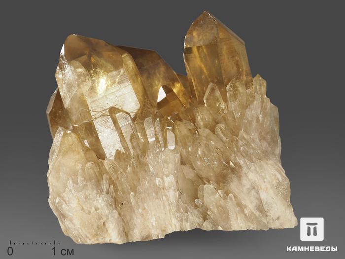 Цитрин, кристалл «Кундалини» 6,1х4,5х4,3 см, 11591, фото 1