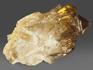 Цитрин, кристалл «Кундалини» 7,3х4х3,8 см, 11589, фото 2