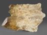 Цитрин, кристалл «Кундалини» 10,5х6,6х3,2 см, 11595, фото 2