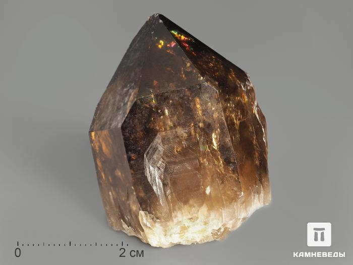 Цитрин, кристалл 4,7х3,7х3 см, 11568, фото 1