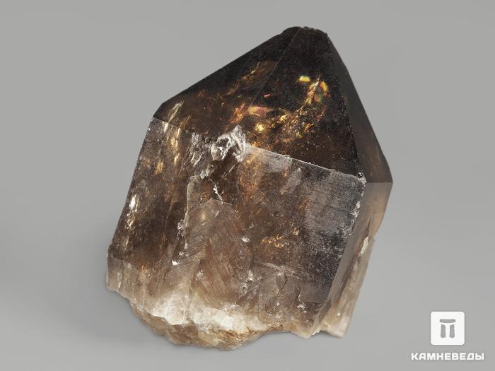 Цитрин, кристалл 4,7х3,7х3 см, 11568, фото 2