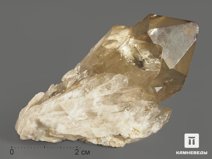 Цитрин, кристалл «Кундалини» 6,5х4,2х3 см, 11567, фото 1