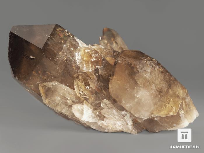 Цитрин, кристалл «Кундалини» 6х4х3,2 см, 11566, фото 2