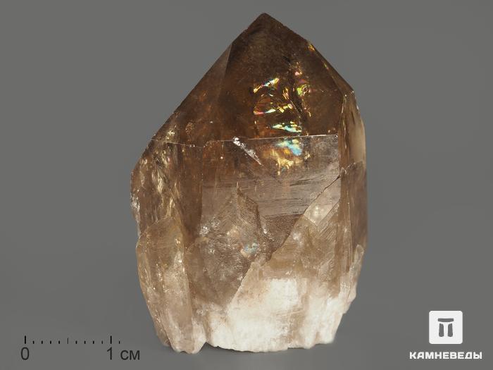 Цитрин, кристалл 4,1х3,1х2,2 см, 11565, фото 1